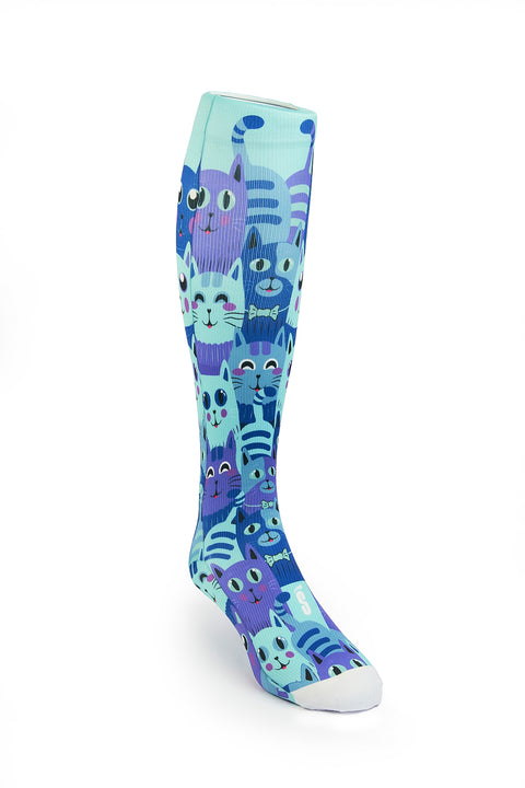 B15 - DISEÑO GATOS