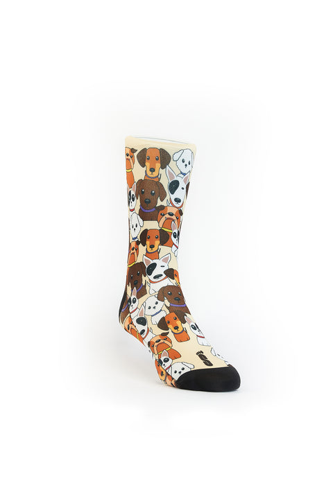 B11 - DISEÑO PERRITOS