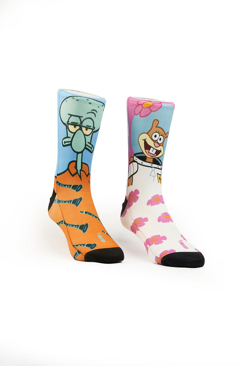 A52 - DISEÑO ARENITA & CALAMARDO