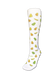 D2 - DISEÑO AGUACATES