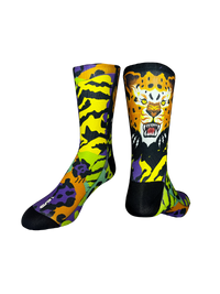 B17 - DISEÑO TIGRE